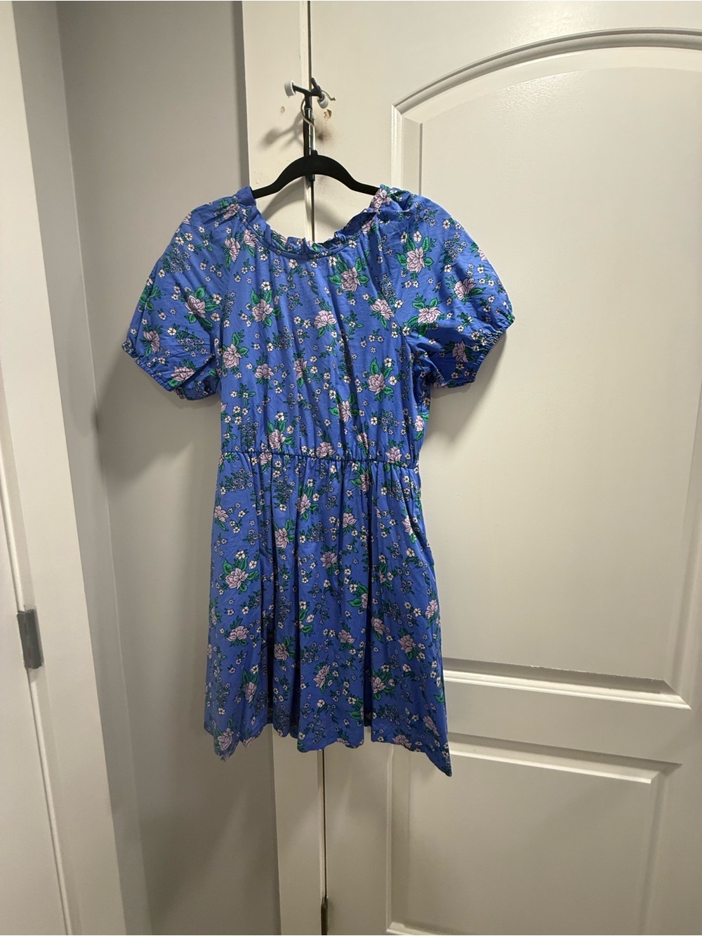 J. Crew Blue Floral Puff-Sleeve women’s dress